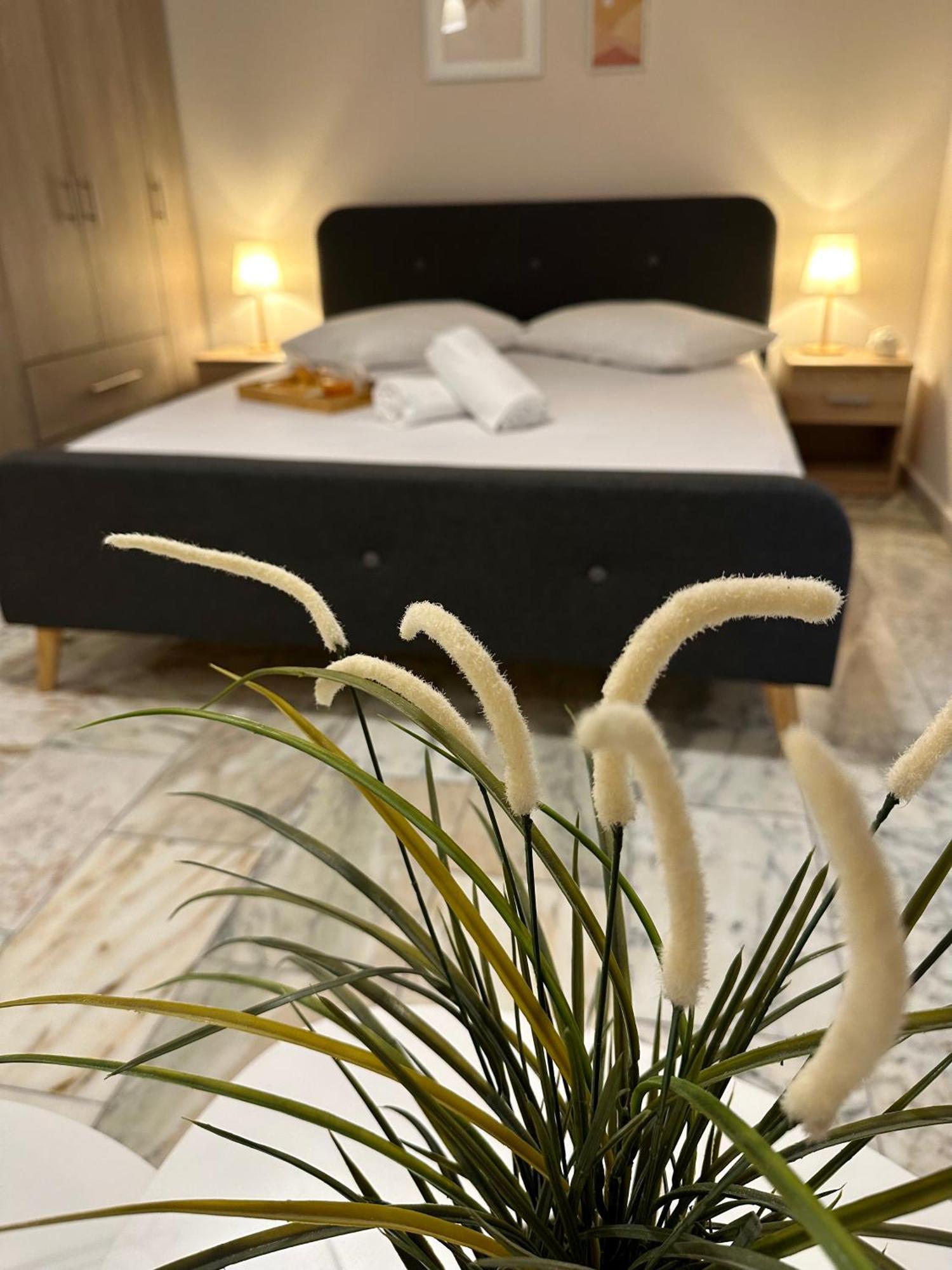 Venetian Gem Central Corfu Retreat كانوني المظهر الخارجي الصورة